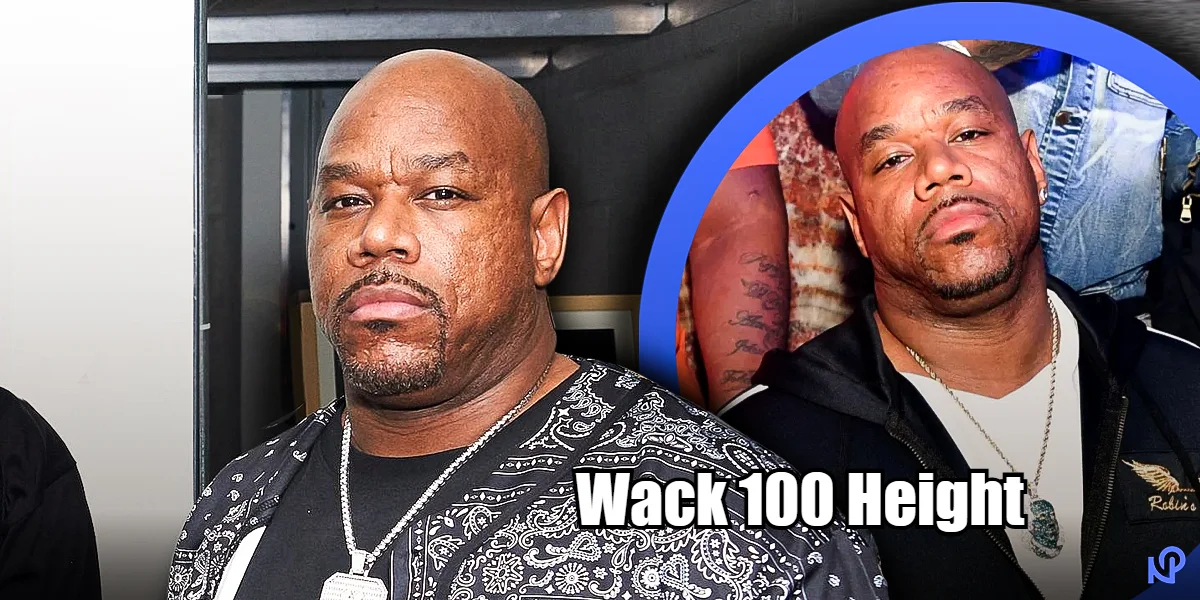 Wack 100 Height